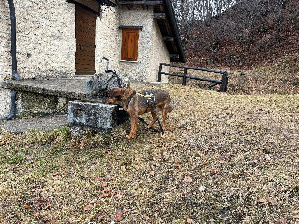 Zeus Foto 5